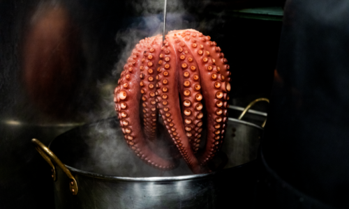 Gastronomy